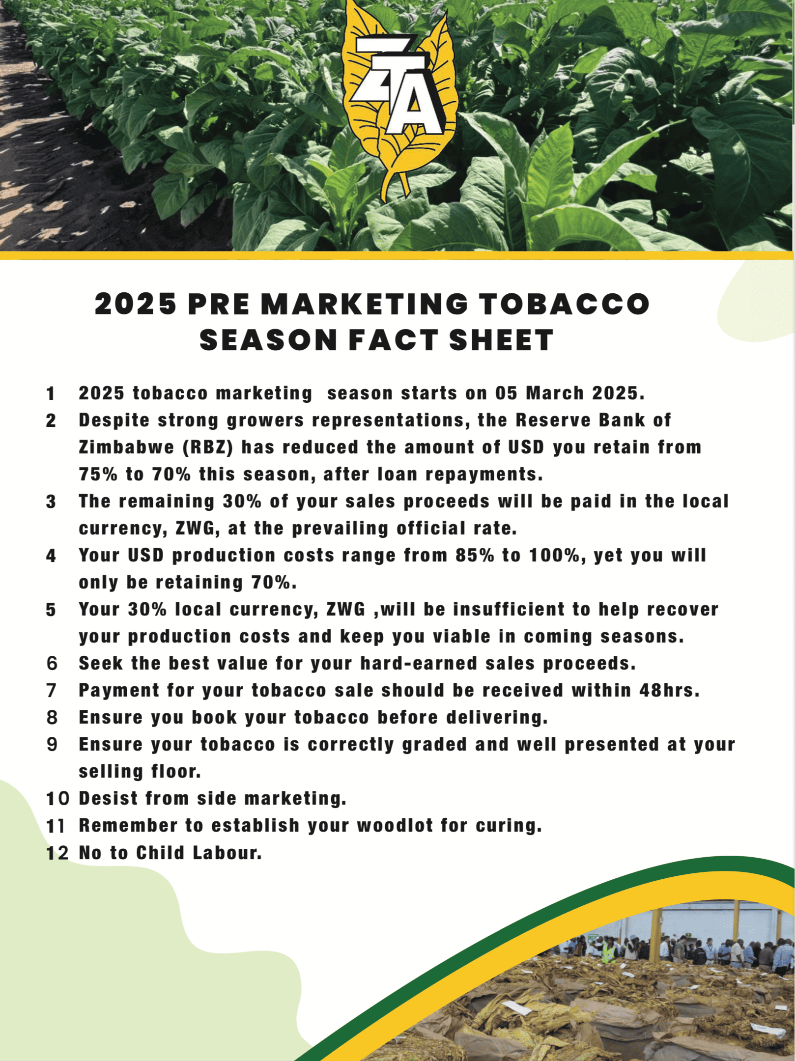 Pre-tobacco marketing season 2025 fact sheet